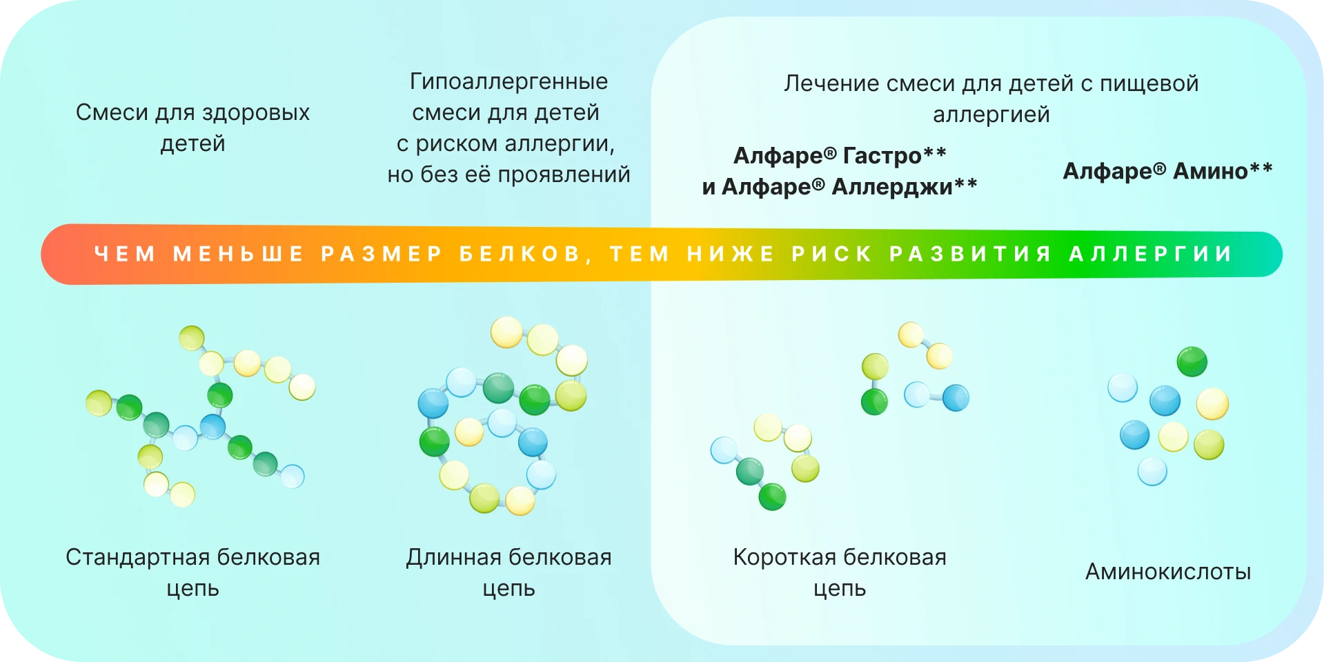 Размер белков
