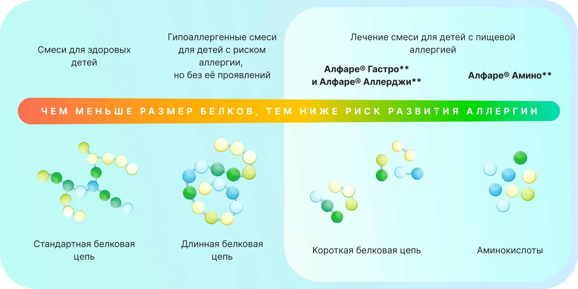 Размер белков
